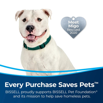 BISSELL PowerLifter Allergen Pet Rewind Upright Vacuum, Bagless, HEPA Filter, Black - 3404